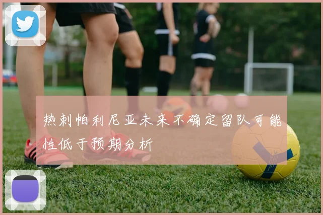 热刺帕利尼亚未来不确定留队可能性低于预期分析